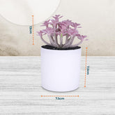 Homestic Artificial Plants for Home D?cor|Natural Looking Indoor Fake Plants with Pot|Artificial Flowers for Decoration (Lavender)